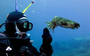 Le immersioni subacquee a Malta sono un must se ami l'avventura subacquea. Con questo corso di prova di immersione puoi fare immersioni subacquee nelle acque maltesi sotto la supervisione.