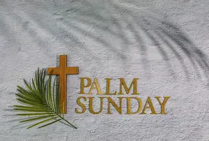 A list of times of Palm Sunday Processions in Malta and Gozo. Sib il-ħinijiet tal-purċissjonijiet ta' Ħadd Il-Palm f'Malta u Għawdex.
