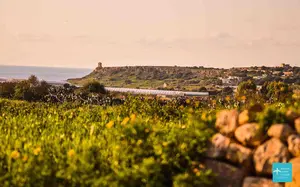 Find out what the weather in Malta in November is like. See what you can wear, some of the best things to do in Malta in November and out thoughts.