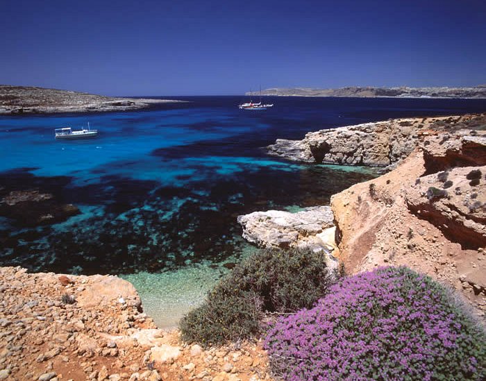 Comino Island