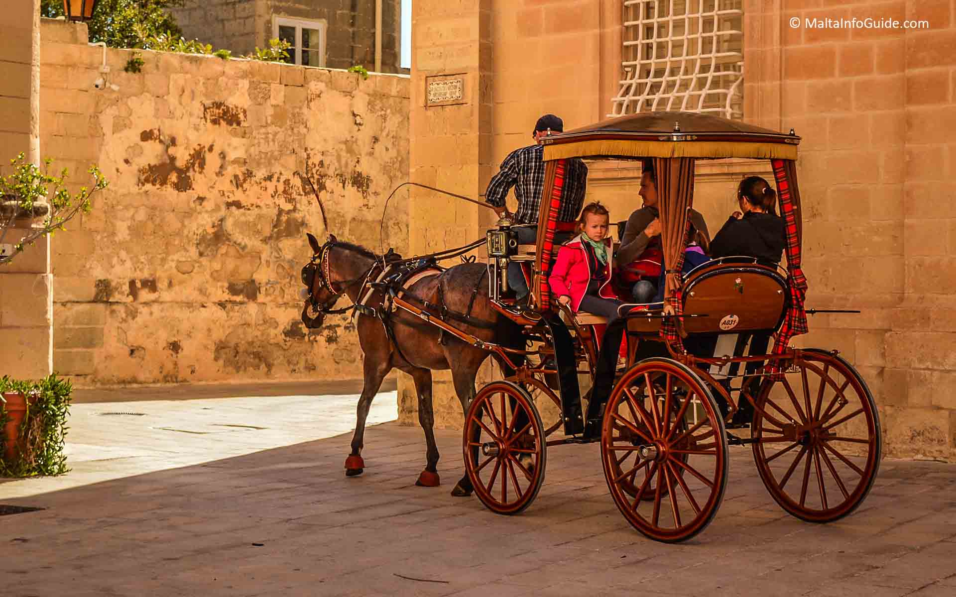 People taking a Karozzin ride around Mdina