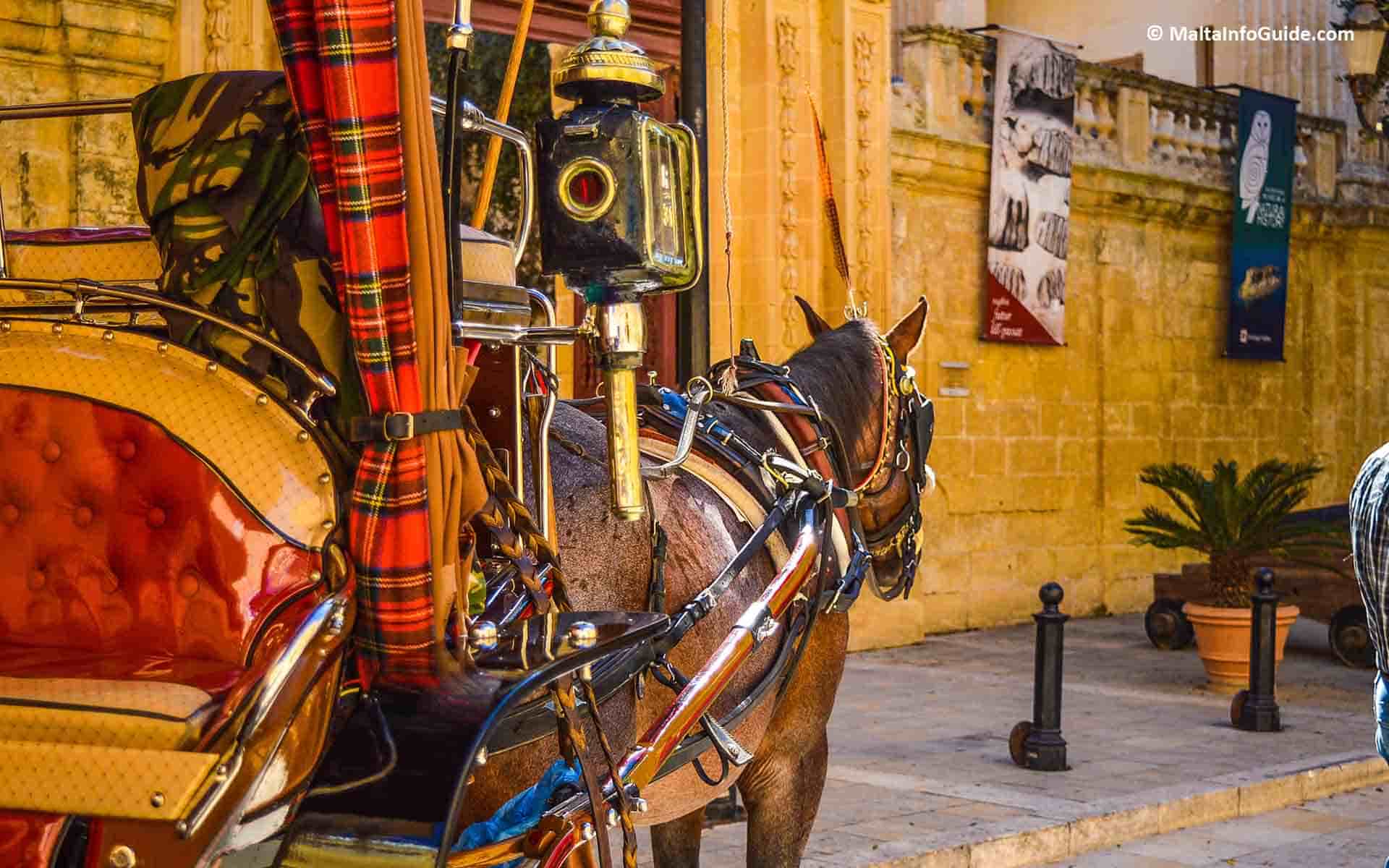 A horse-drawn carriage. A horse-drawn carriage.