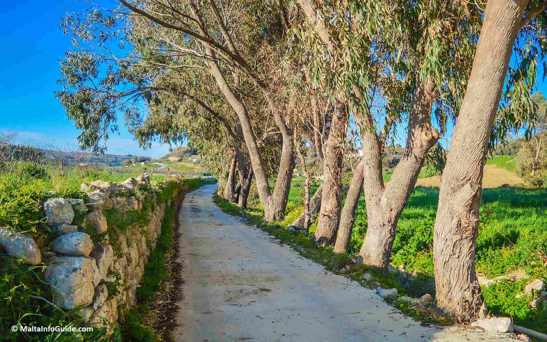 A Guide To Weather In Malta in March What To Expect