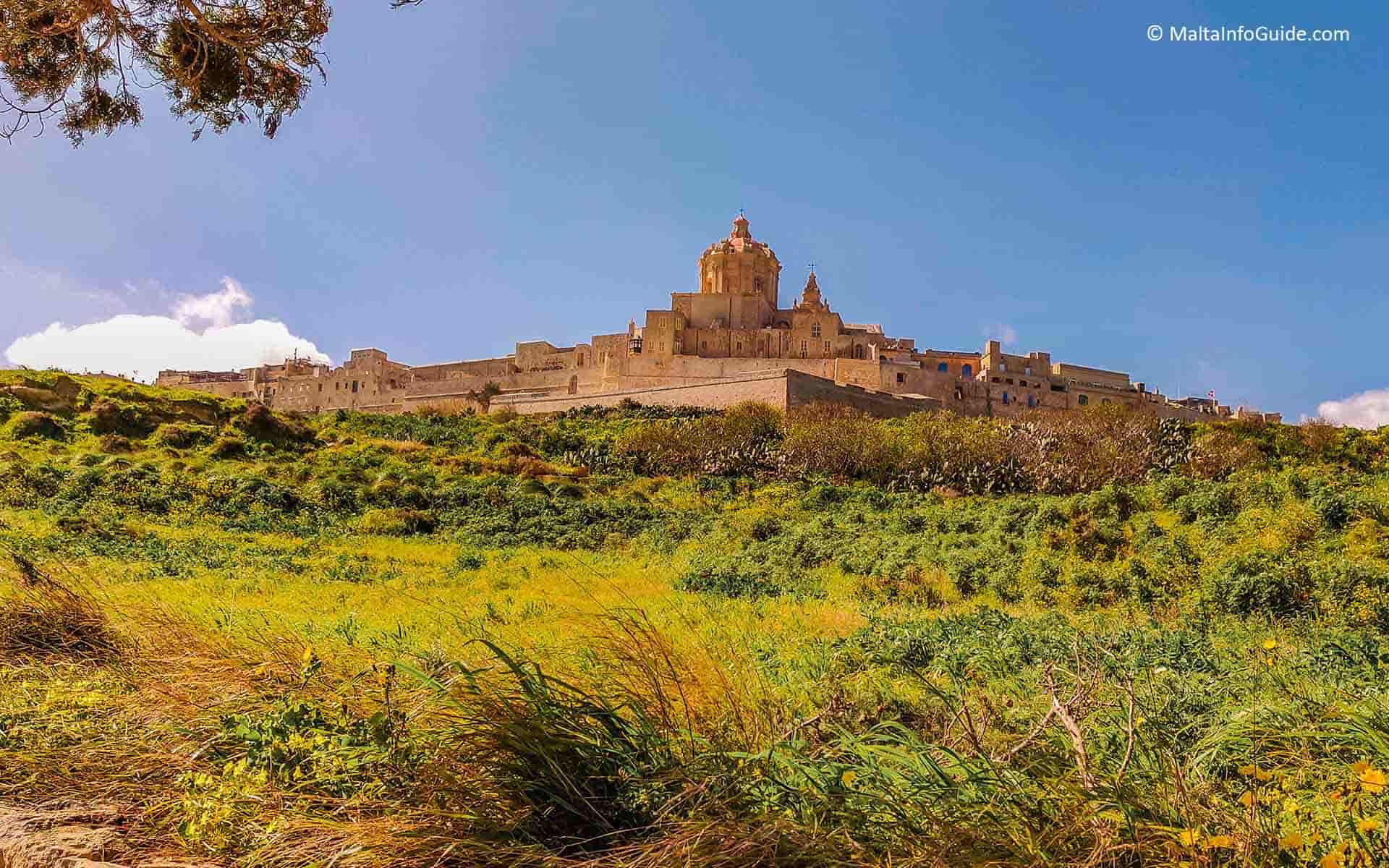 Panoramic view of Mdina Malta