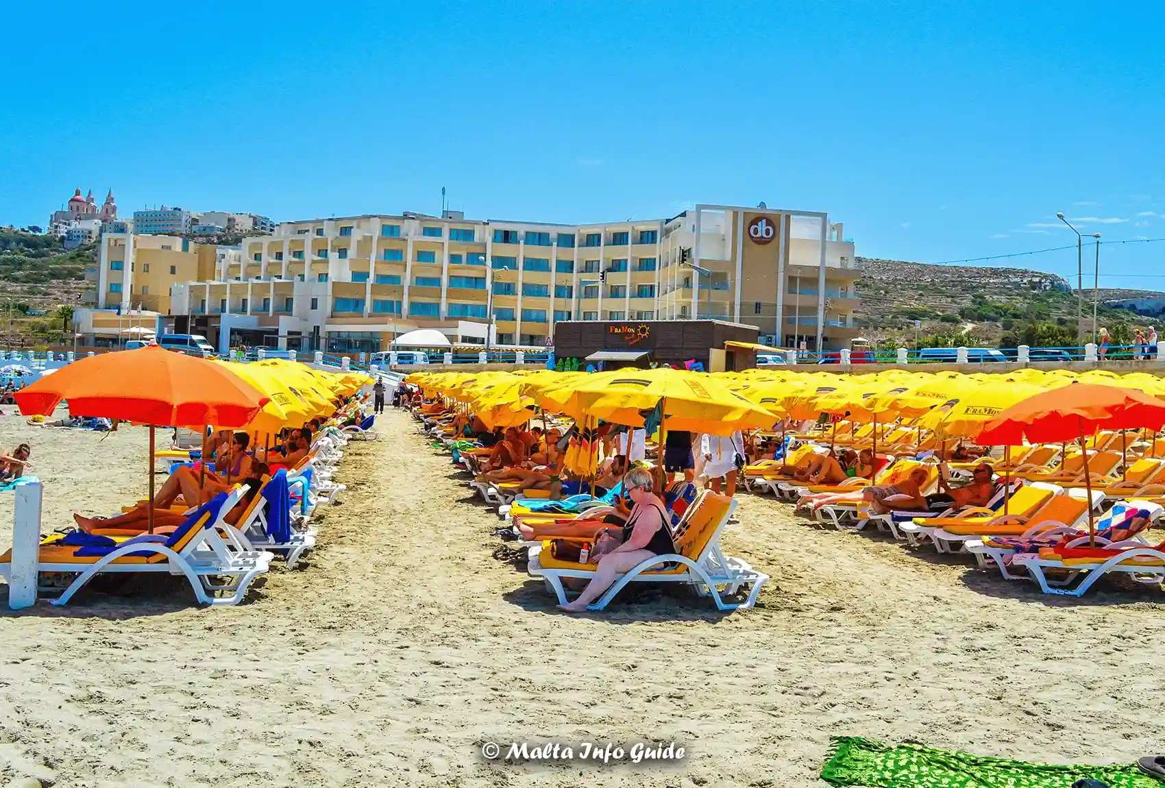 Rows of sunbeds and umbrellas beside db Seabank, Mellieha.