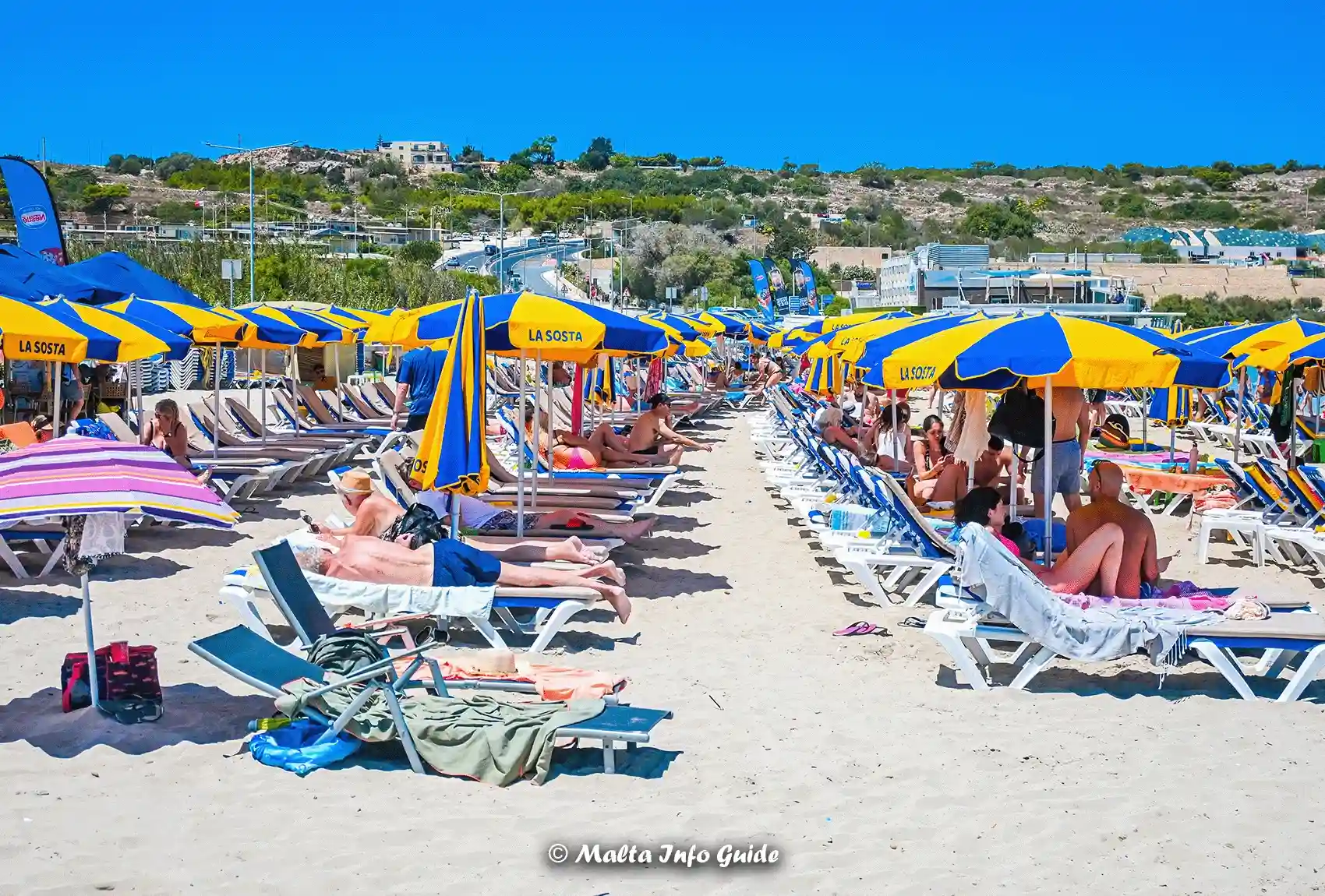 Rows of sunbeds and umbrellas cover Mellieha Bay sand.