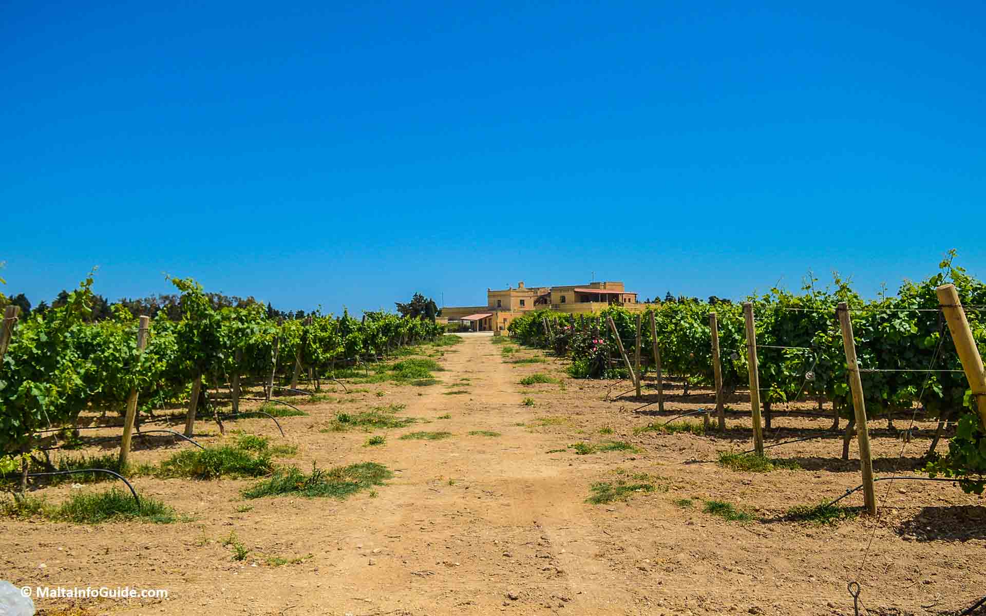 Meridiana Wine Estate land.