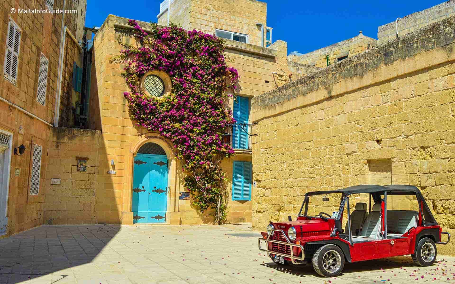 A Bougainvillea growing on the facade of an old house in Mdina.