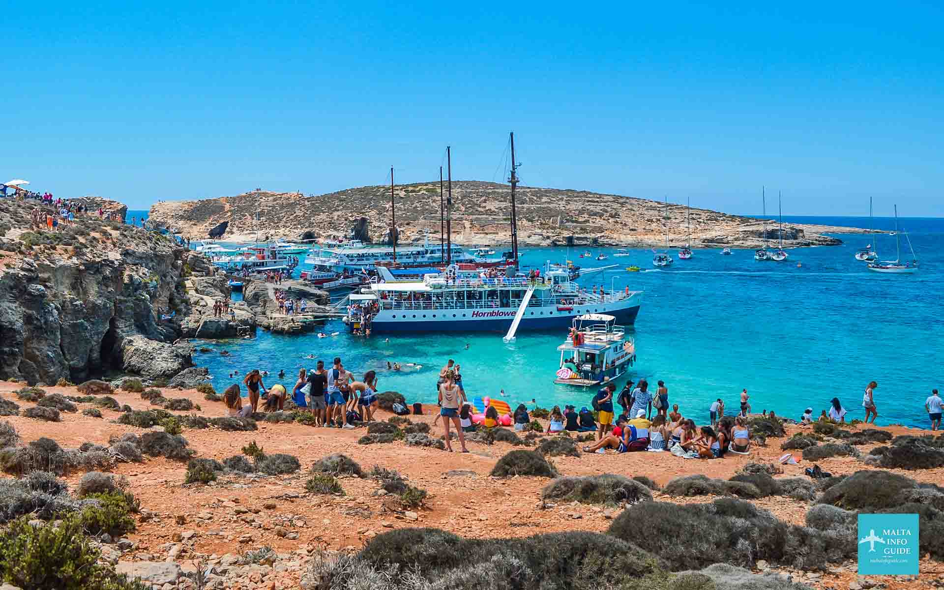 Ellos se comunicarán contigo y te darán un plazo de 60 días para reprogramar tu gira.