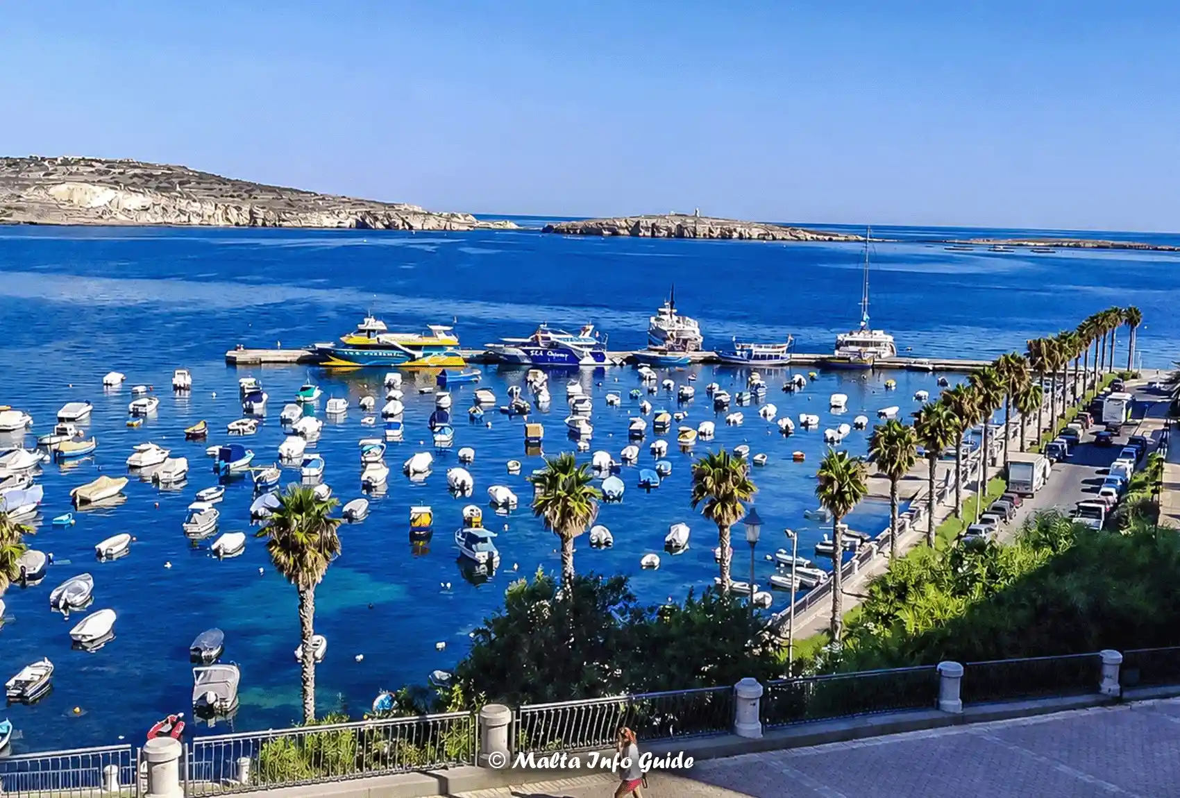 St Paul’s Bay harbour with boats, a palm-lined waterfront, and St Paul’s Islands in the distance.