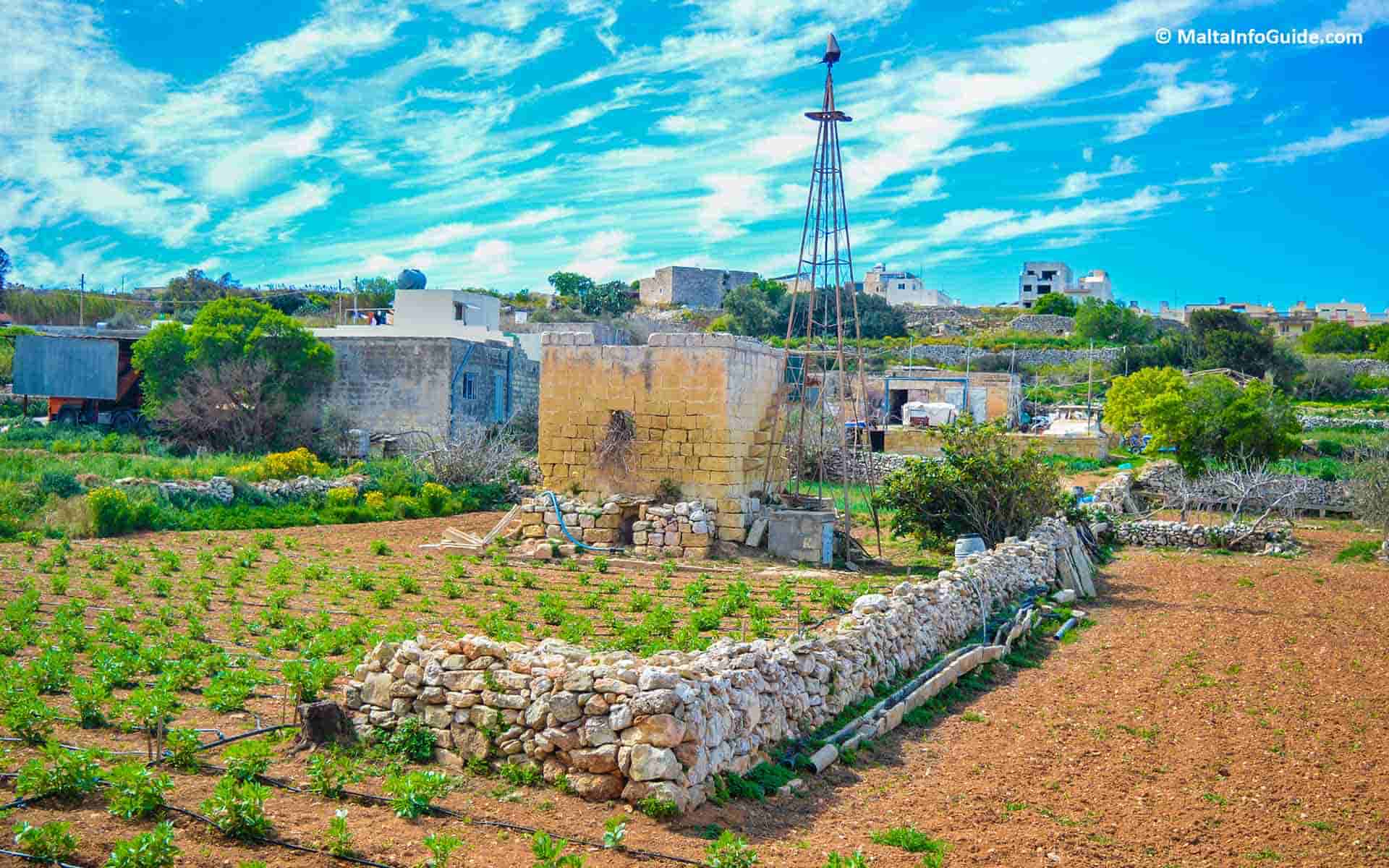 A small building in the middle of Malta's countryside with beautiful vegetation during the weather in Malta in March.