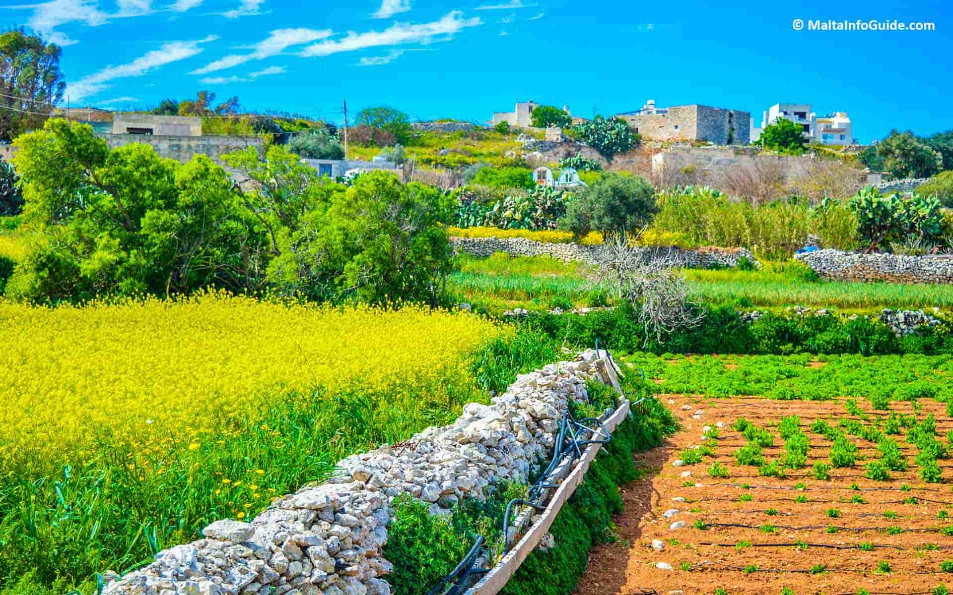How Is The Weather in Malta in April Spring & Warmer Weather