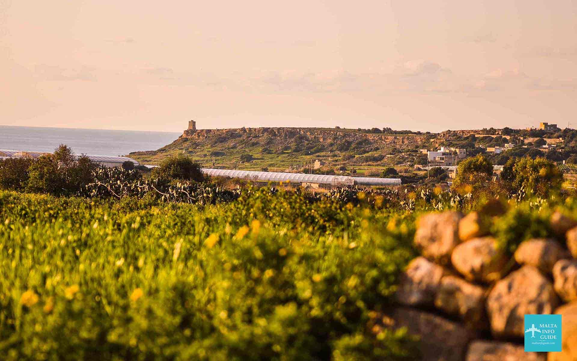 The Ultimate Guide to Weather in Malta in November